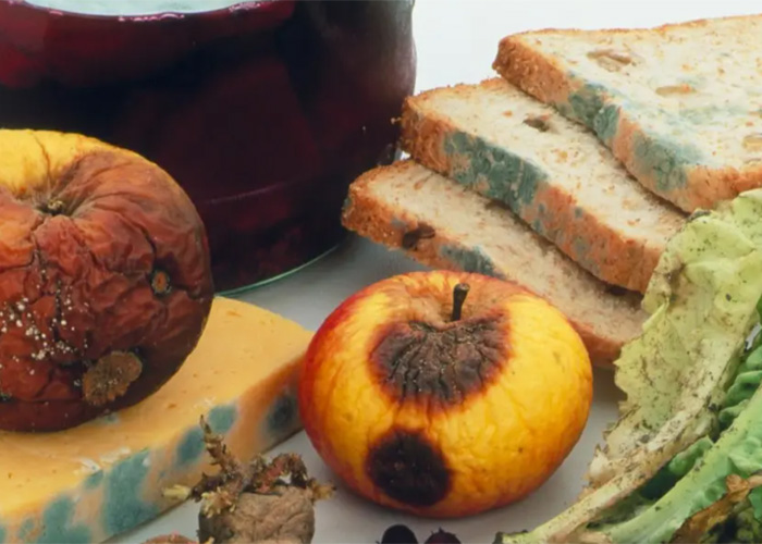 上海食品銷毀中心