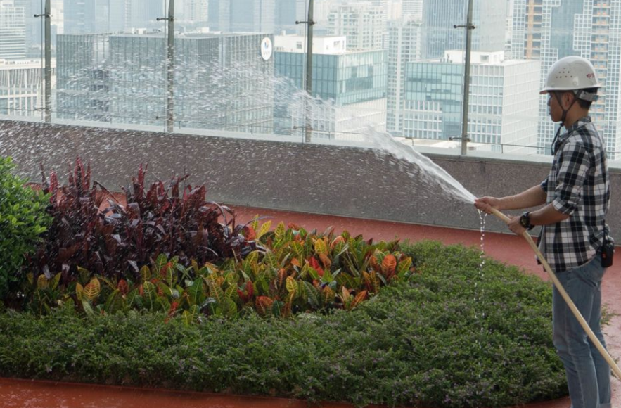 如何應(yīng)對(duì)氣候變化、保護(hù)海洋、土地及水源