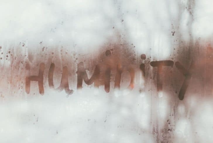 潮濕是如何造成空氣污染的？