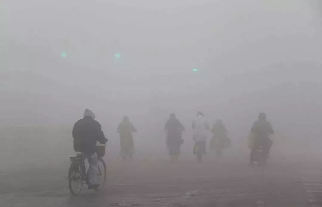 空氣污染如何殺死植物和動(dòng)物? 空氣污染如何殺死植物和動(dòng)物?