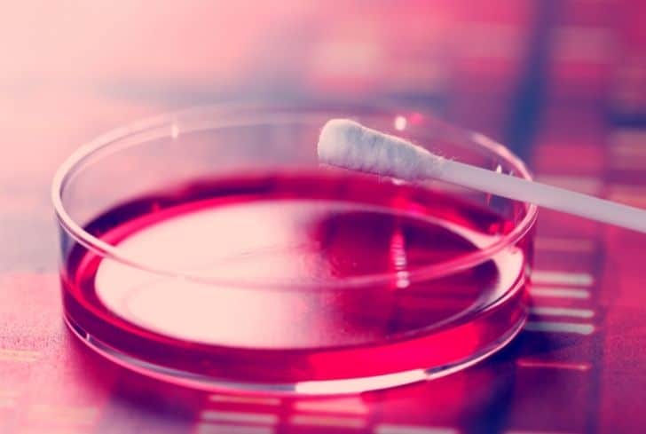 Q-Tips 是否可回收？