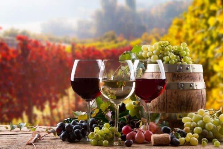 酒杯是怎么回收的？