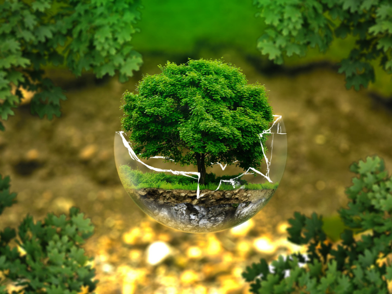 臨期的奶粉可以喝嗎？|過期奶粉銷毀